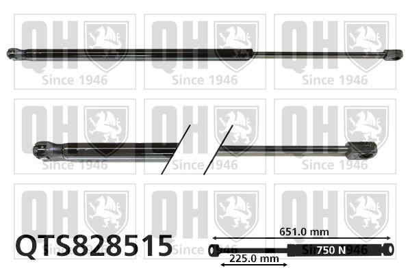  Amortiguador maletero Opel Insignia 